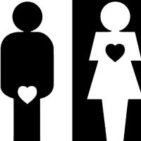 Heterosexual, Heteroseksüel
